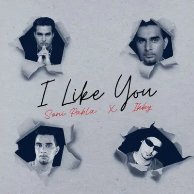 I Like You - Soni Pabla Song