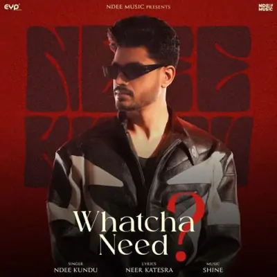 Whatcha Need - Ndee Kundu Song