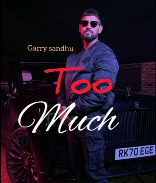 Too Much Garry Sandhu song download DjJohal