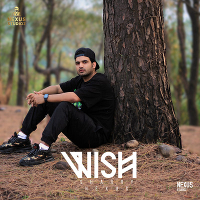 Wish Sharry Nexus song download DjJohal