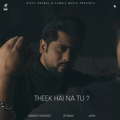 Theek Hai Na Tu - Sarang Sikander Song