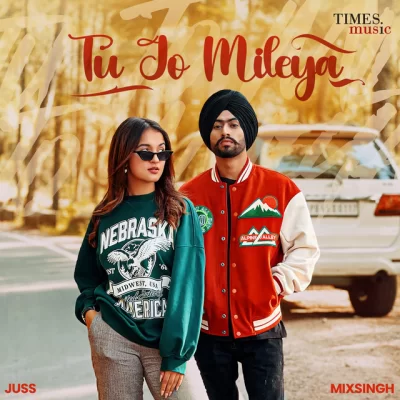 Tu Jo Mileya Juss song download DjJohal