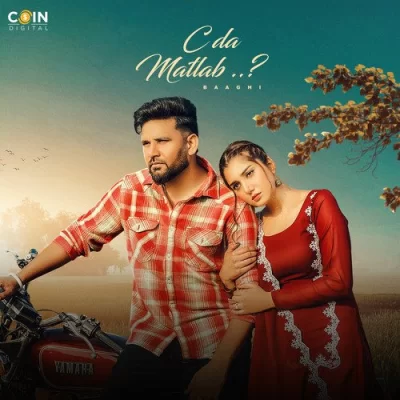 C Da Matlab Baaghi song download DjJohal