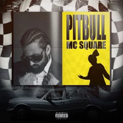 Pitbull - MC Square Song