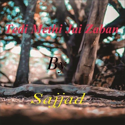 Tedi Methi Jai Zaban - Sajjad Song