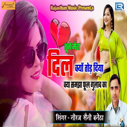 Tune Mera Dil Kyo Tod Diya Niraj Seni  song download DjJohal