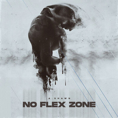 No Flex Zone - Dhruv G Song